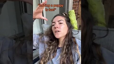 Dogs, Dogsvideos 14