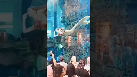 Mermaid in Dubai Mall aquarium #dubaimall #mermaid #uae #dubaimallfountain