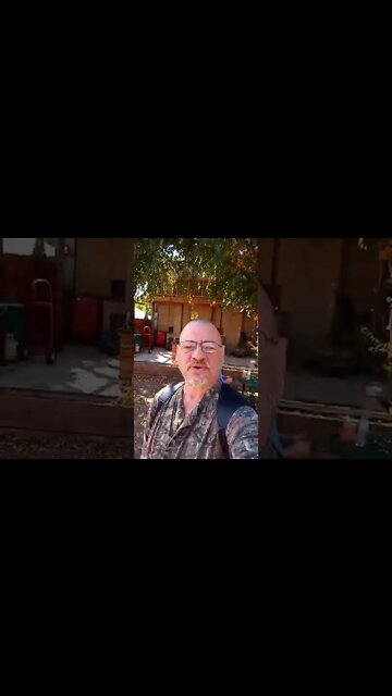 Sunday Bible study and Air Gun Fun talk