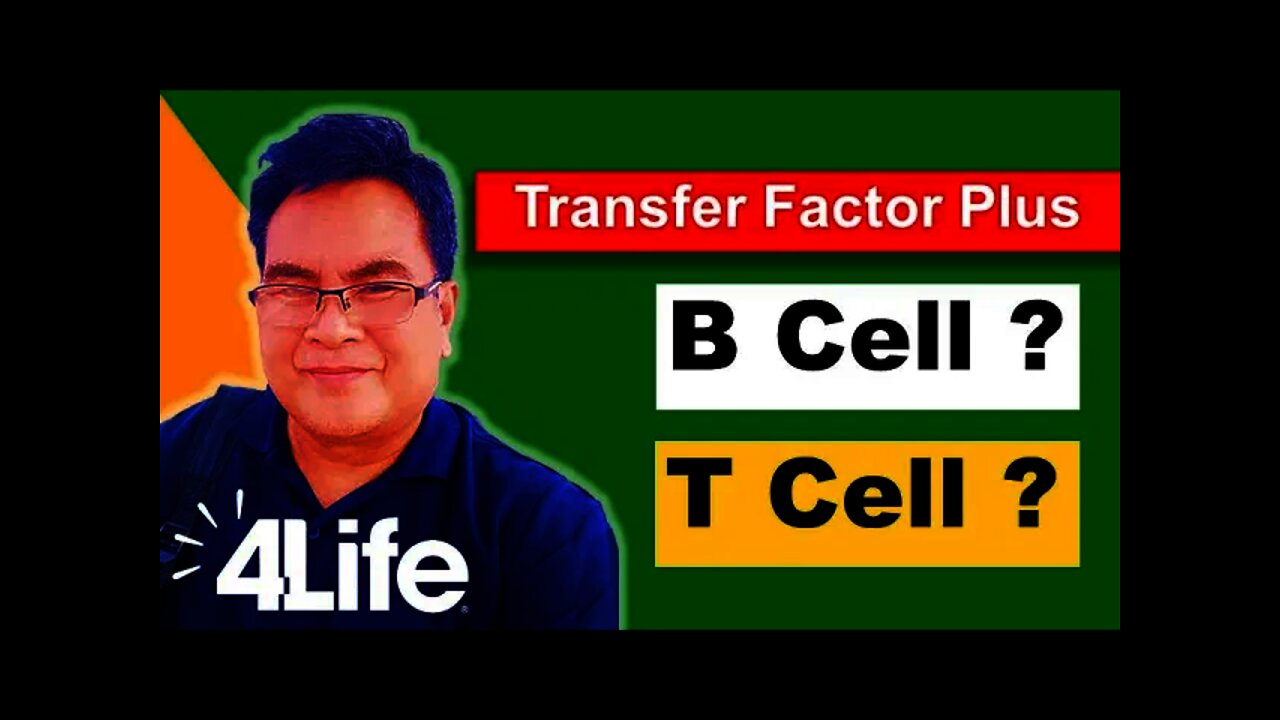 4ไล้ฟ์ ทรานสเฟอร์ แฟคเตอร์ พลัส bolsters T Cell, B Cell