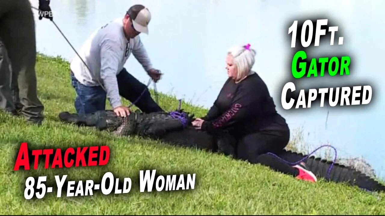 10ft. Gator Captured that Attacked 85-Year-Old Woman