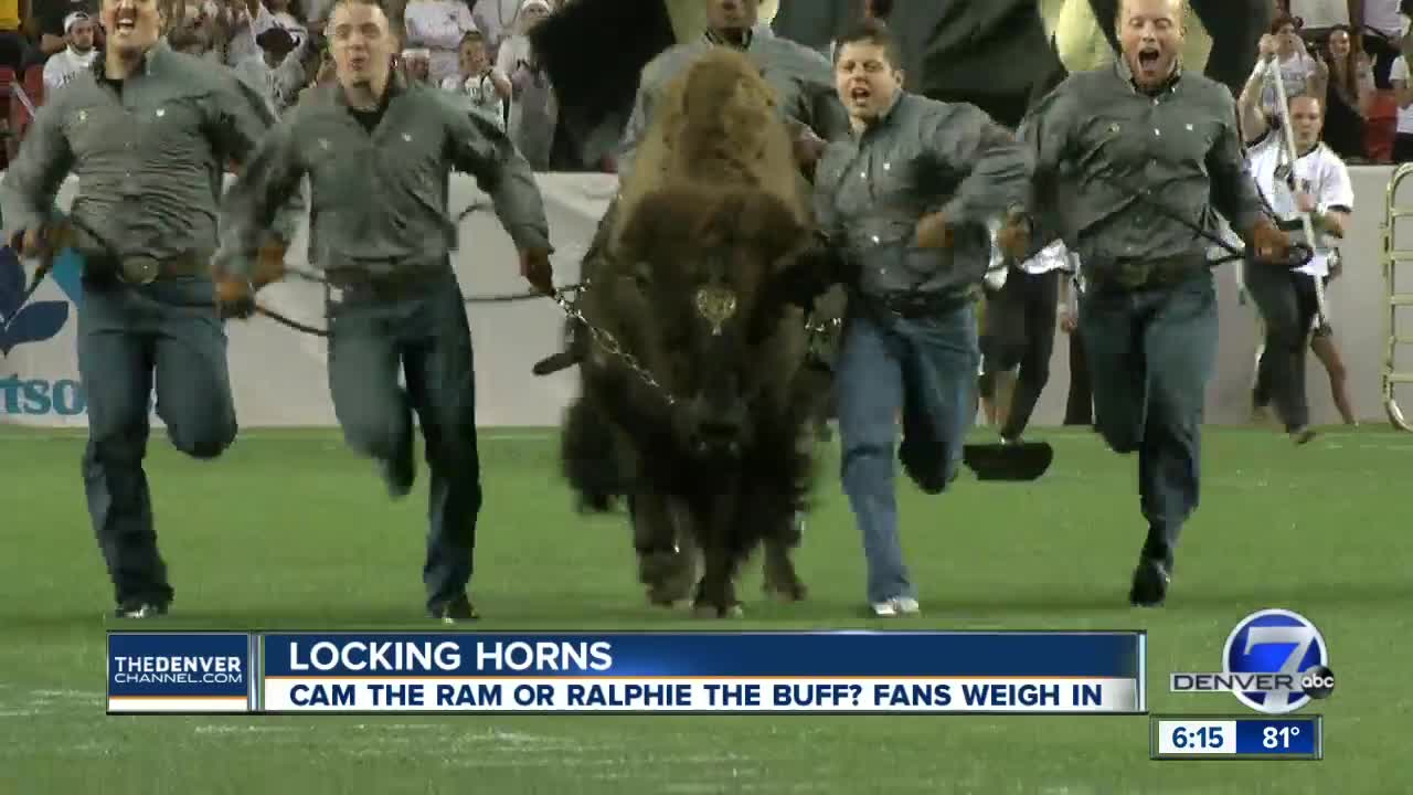 Ralphie the Buffalo or Cam the Ram? The Rocky Mountain Showdown of animal mascots