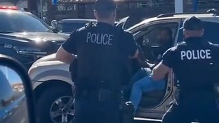 Guy Smashing Into Cars While Police Tried To Pull Him Out Should Have Been Shot