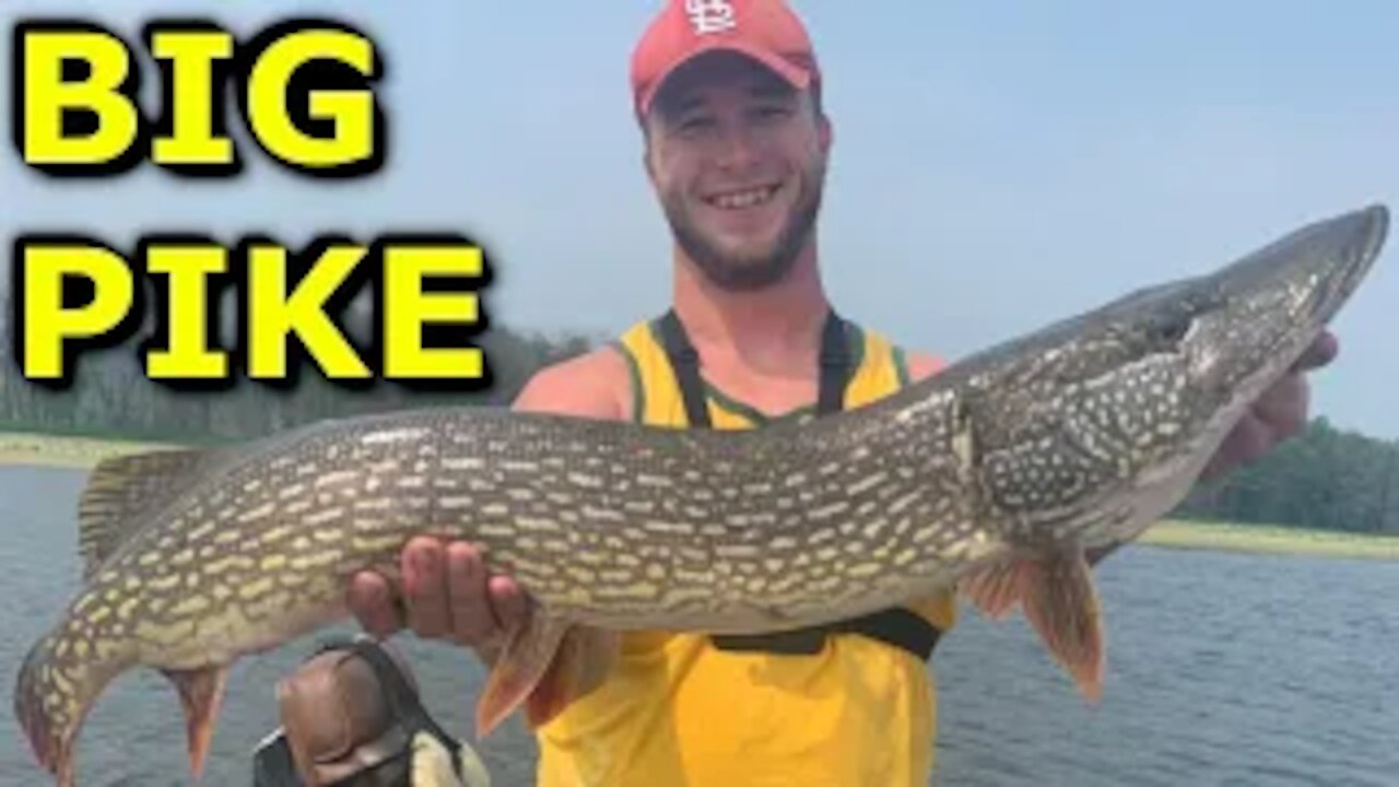 BIG TOOTHY PIKE (Mississippi RIver)