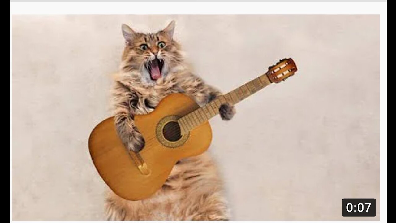 Cute cat singing a song /Cute animals videos/Full screen for all status.# shorts.