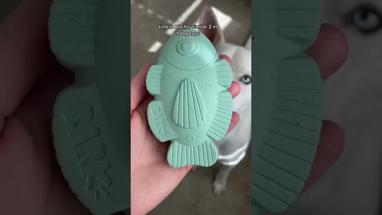 target dog toy before and after