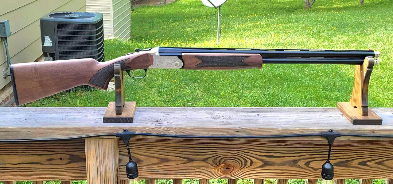 Charles Daly/Chiappa Arms Model 202 (20 Gauge)