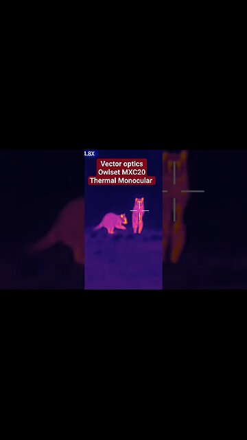 The Vector Optics Owlset MXC20 Thermal Monocular! 🦉