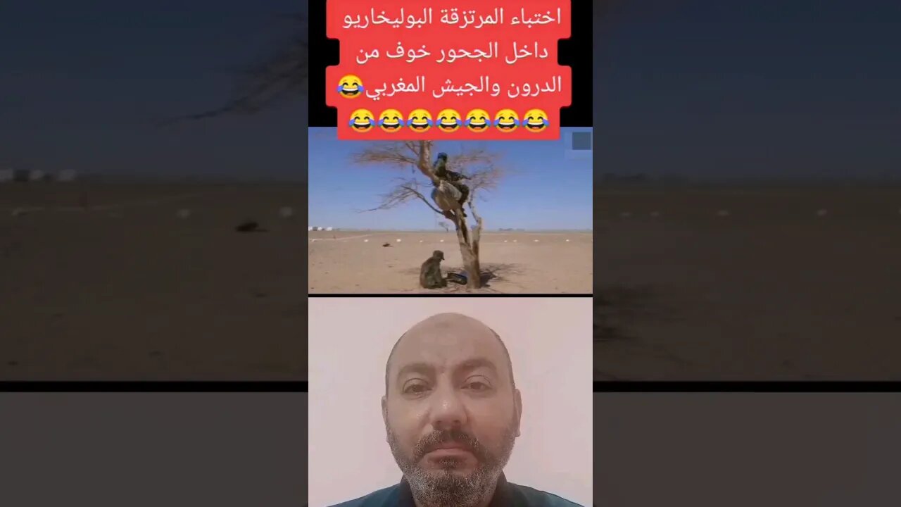 عناصـ ـر البوليسـ ـاريو يختبئـ ـون كالفئـ ـران تحت الأرض خـ ـوفاً من الدرونـ ـات المغربية 😂