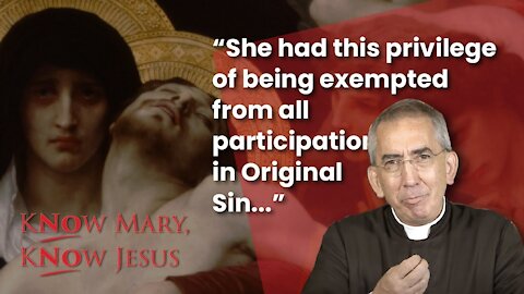 Paying the Price for the Immaculate Conception | Know Mary, Know Jesus