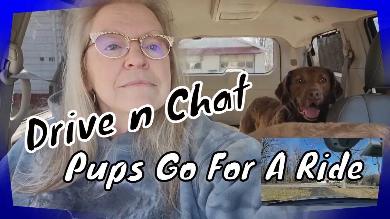 Drive n Chat: Pups Go For A Ride 😛😛😛