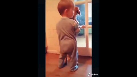 Cute Dog & Baby tails