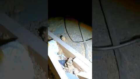 Loose roof structure can create a sagging roof. #youtubeshorts