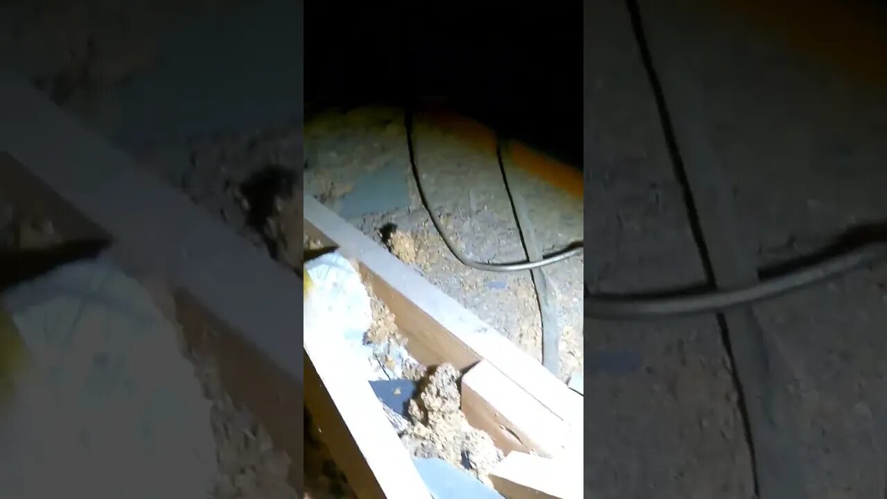 Loose roof structure can create a sagging roof. #youtubeshorts