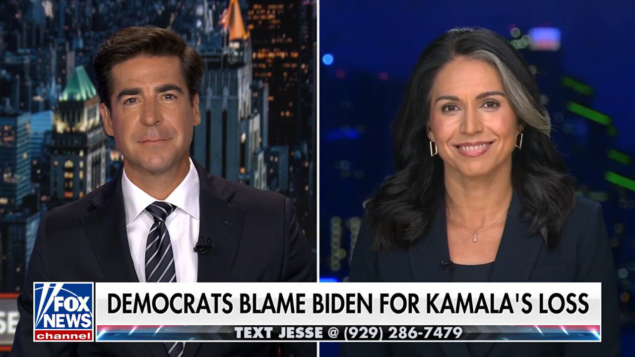 Tulsi Gabbard: Democrats 'Care So Little For Our Democracy'