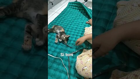 Kak Firaz maen Ama si tom...