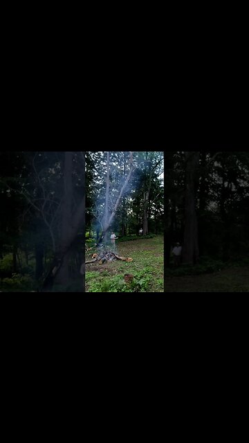 Cutting down a tree.