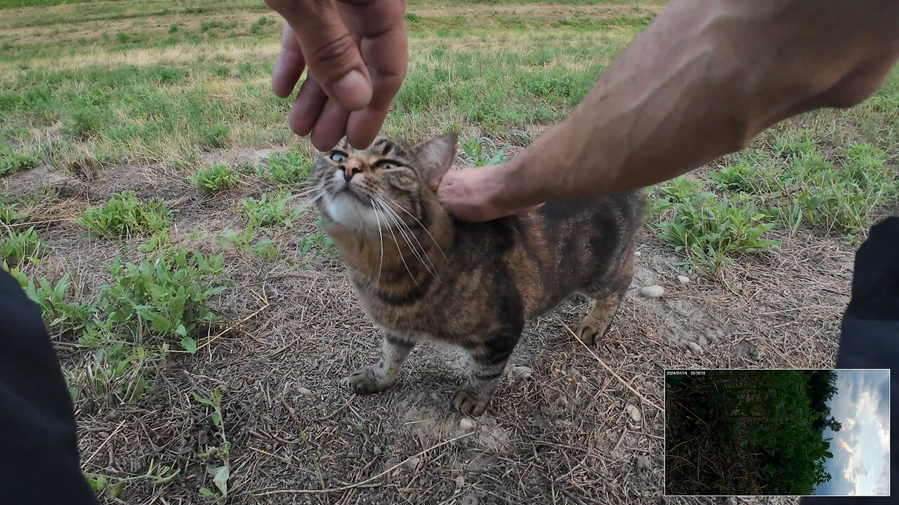 Cycling, 14.07.2024 [A] Catvideo