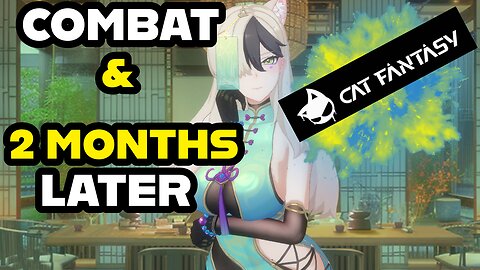 CAT FANTASY - Combat Overview & 2 Months Since Launch