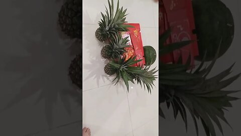 pineapple 🍍