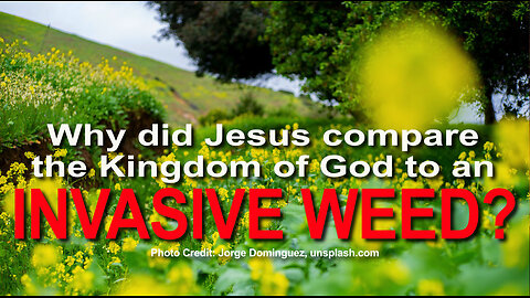 Why did Jesus compare the Kingdom of God to an invasive weed?