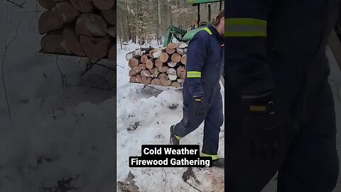 Gathering Emergency Firewood in the cold