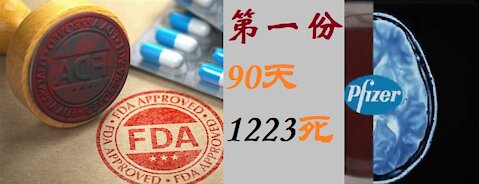 FDA公开第一份文件，90天，1223例死亡 - 20211202