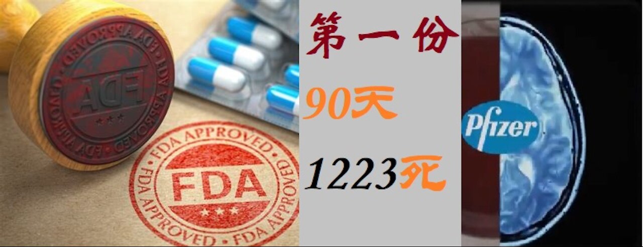 FDA公开第一份文件，90天，1223例死亡 - 20211202