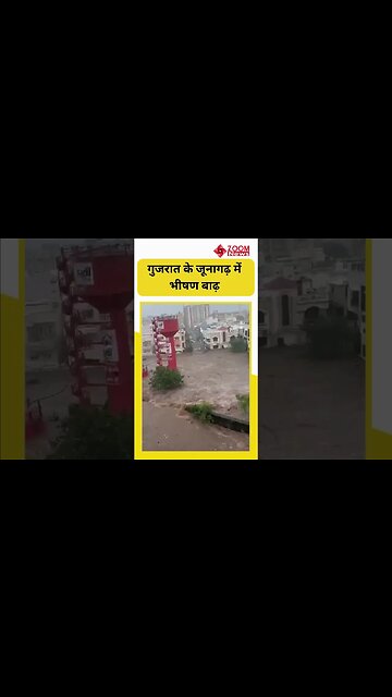 Junagadh Flood: गुजरात के जूनागढ़ में भीषण बाढ़, उफान में बह गए मवेशी और कई गांडियां