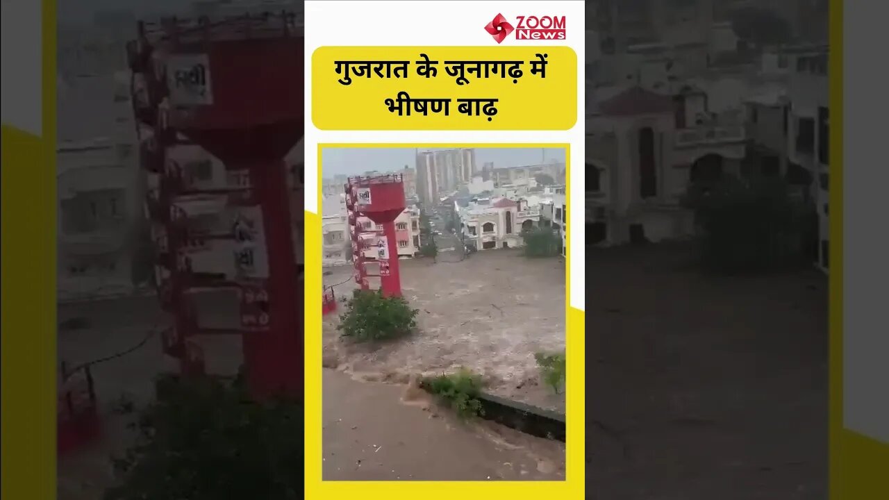 Junagadh Flood: गुजरात के जूनागढ़ में भीषण बाढ़, उफान में बह गए मवेशी और कई गांडियां