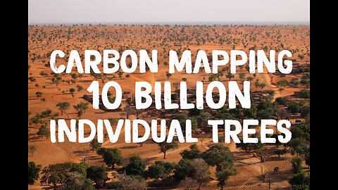 Continental scale carbon stocks of individual trees in African drylands