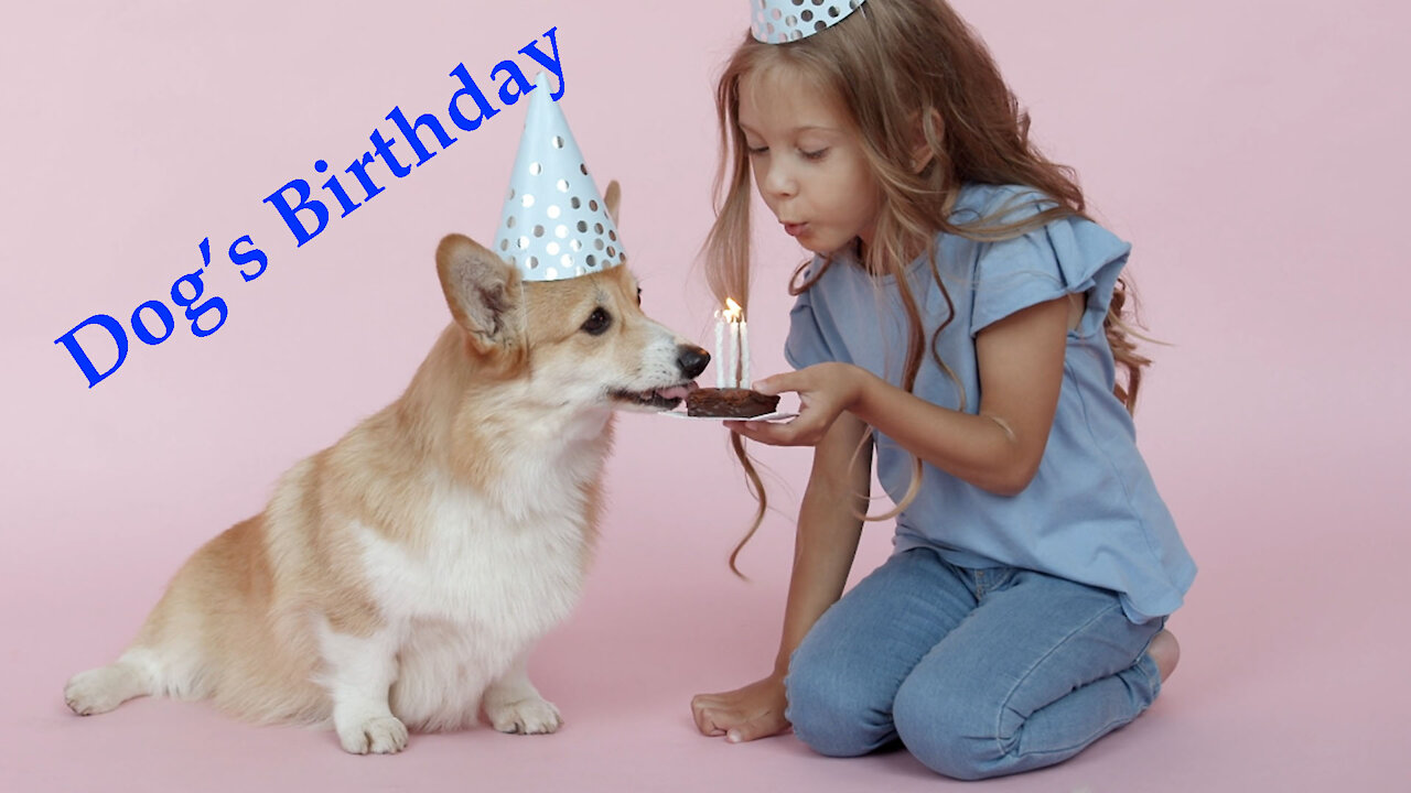 Wearing Party Hats, a Girl and a Dog Doing Dog's Happy Birthday