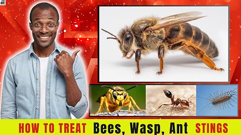 How to Care for Bee sting, Wasp, ant & Centipede stings