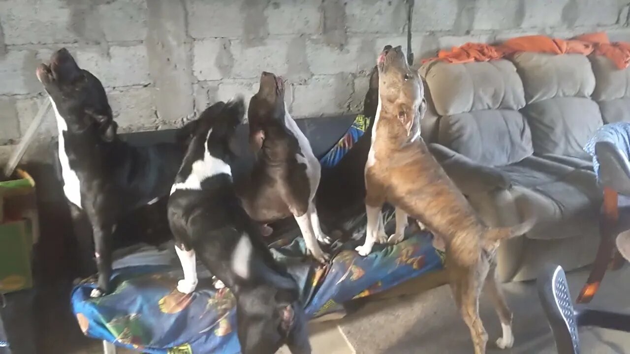 The Way Our Morning Starts Everyday