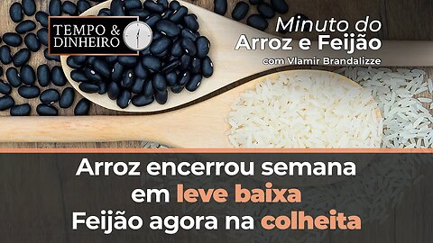 Arroz encerrou semana em leve baixa, Feijão agora na colheita