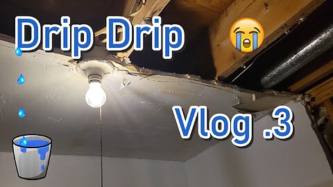 Drip Drip: Vlog 3 | Wavy Scott Dayz