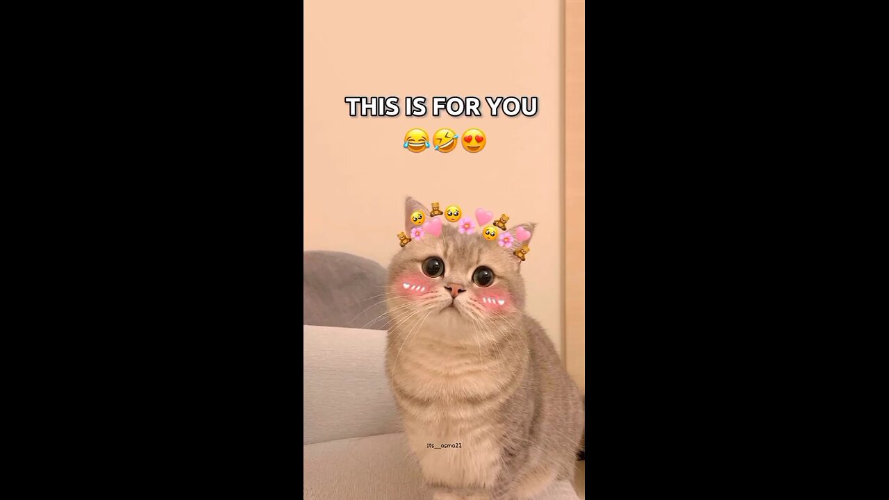 This one’s for you 😂