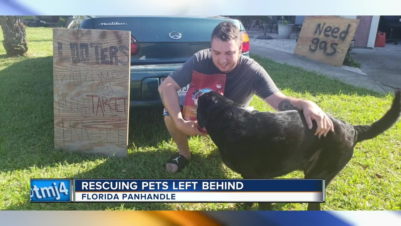 Wisconsin volunteers working to rescue pets after hurricane