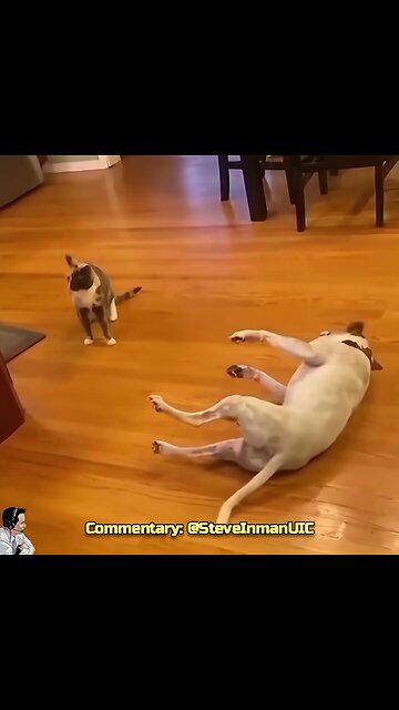 Oscar Worthy Performance