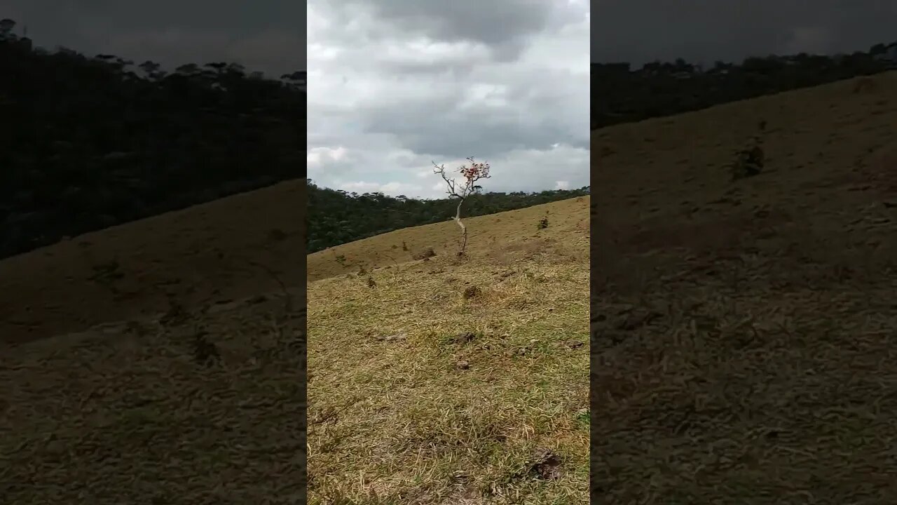 15KM LA MISION PASSA QUATRO MG TRECHO FINAL IGREJA AO FUNDO DO VÍDEO