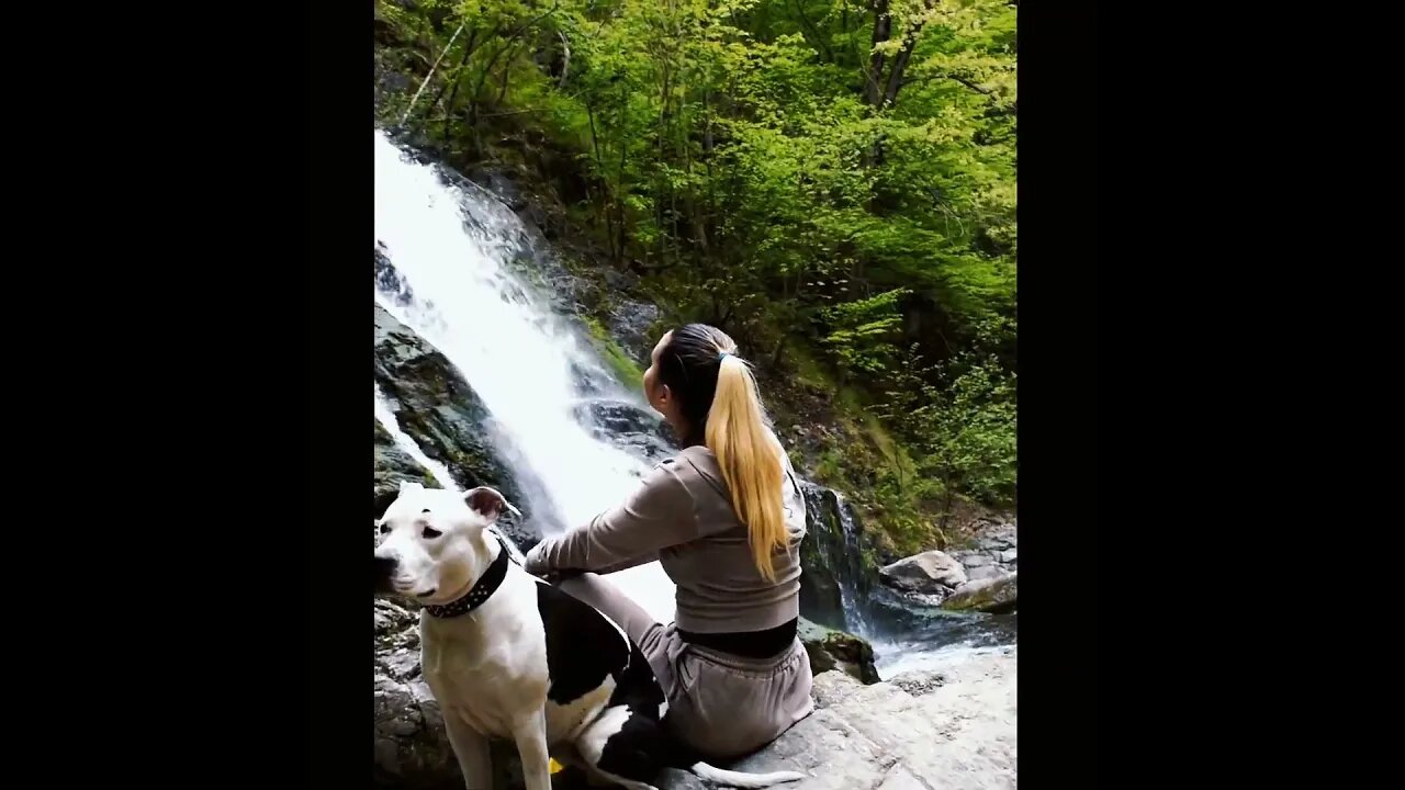 Mountain area #waterfall #shortvideo #amstaff #girl