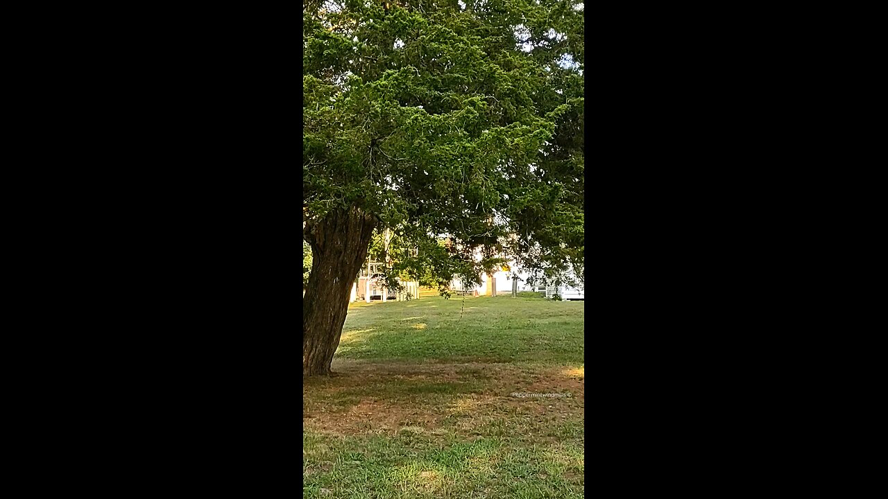 Nature at a historic village πΏππ²