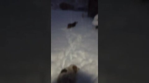 Storm Update!!! ❄️🌨️