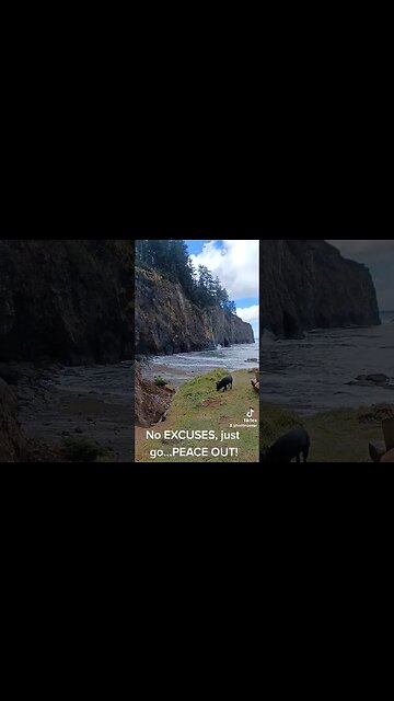 If you owned a Subaru right now...you could be here:-) #hurstysgarage #fyp #subaru #travel