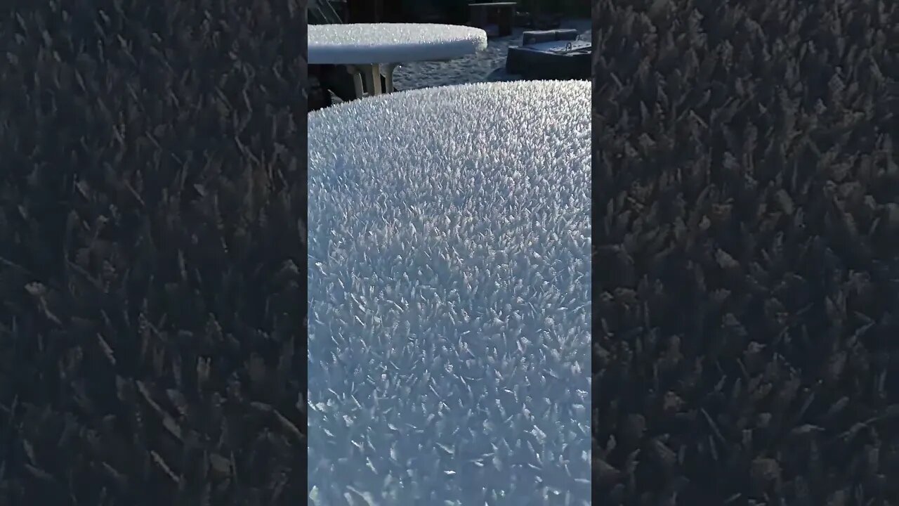 #shorts #saukalt #eis #frost