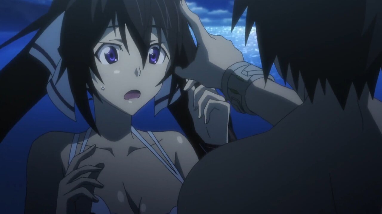 Infinite Stratos - Ichika and Houki