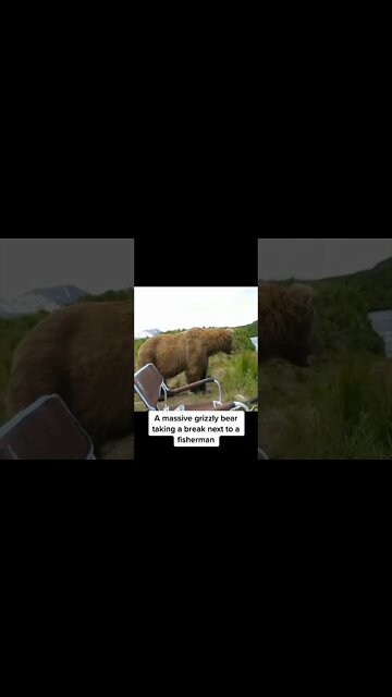 Most Amazing and trending video||relaxing your mind||trendig videos|| #shorts #trending #viral #live