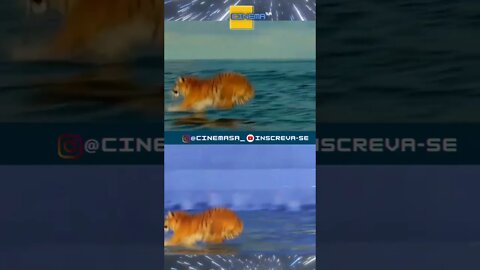 AS AVENTURAS DE PI