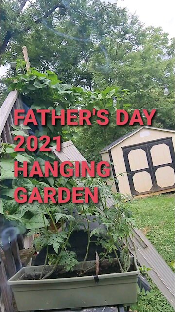 Happy Father's Day Hanging Garden short