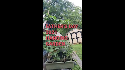 Happy Father's Day Hanging Garden short